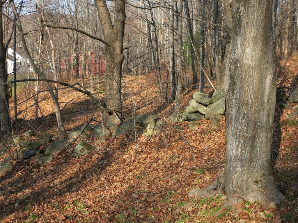 425 Browns Trace Road Jericho, VT 05465 - Photo 14 of 20