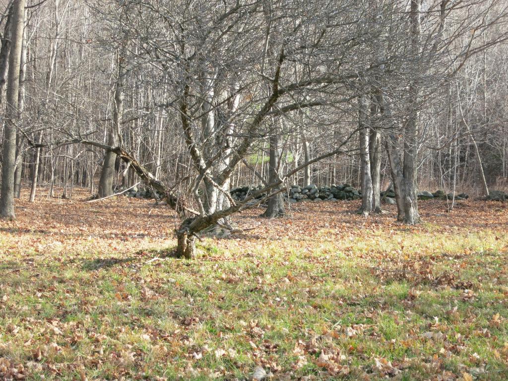 425 Browns Trace Road Jericho, VT 05465 - Photo 15 of 20