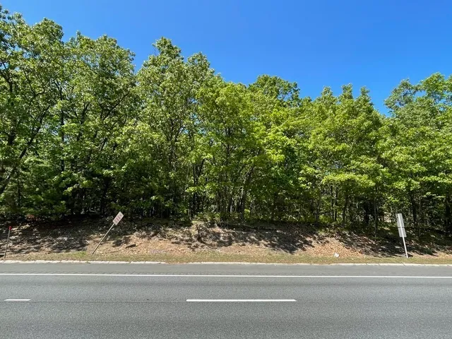 a view of a yard and front area