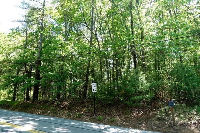 a view of a street view with lots of trees
