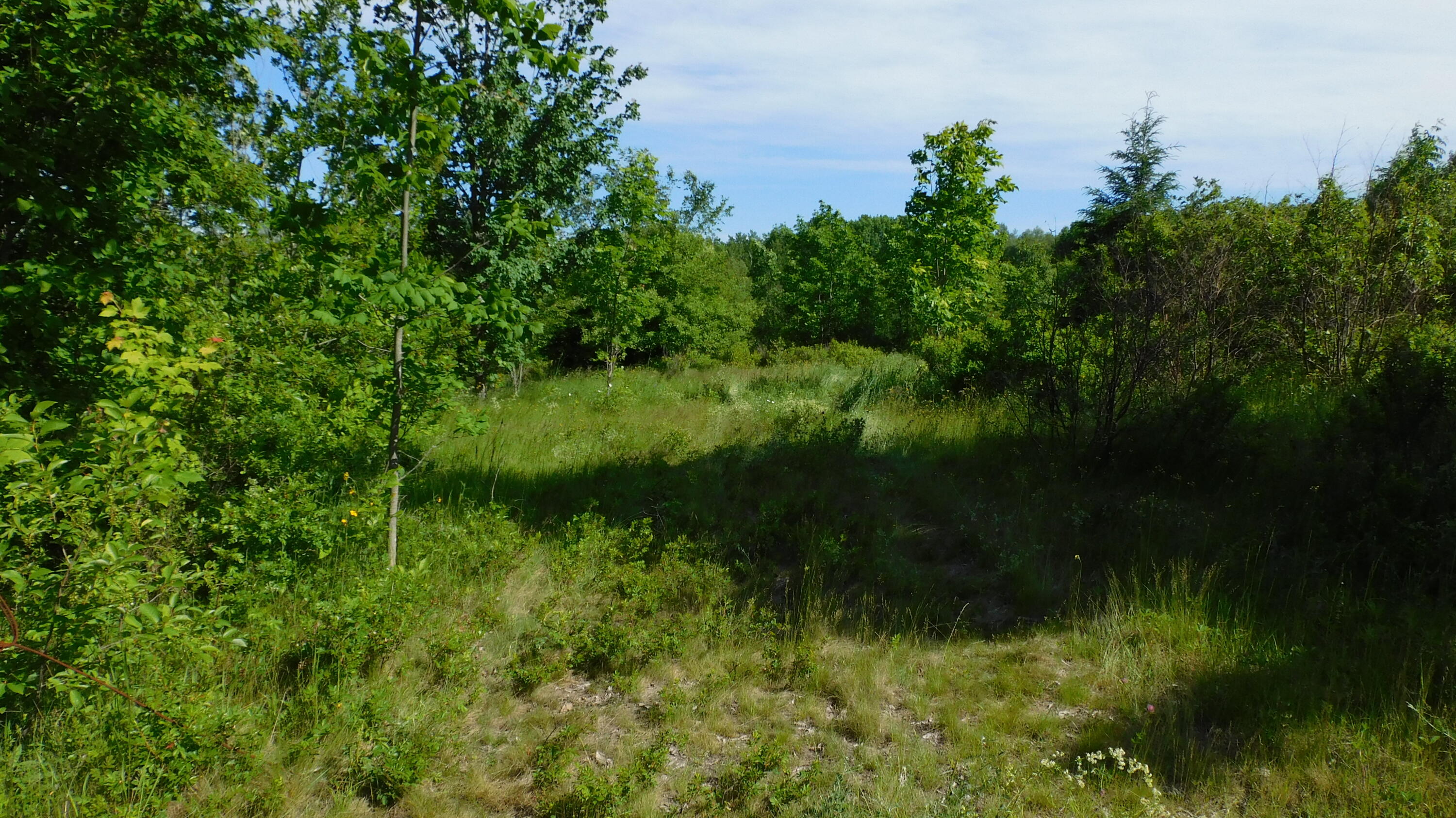 267 Ridge Road Robbinston, ME 04671 - Photo 1 of 4 DSCN0116