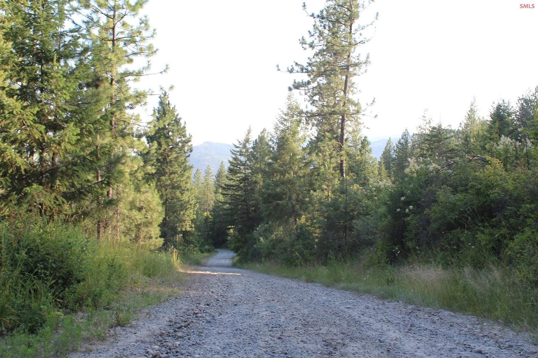 788 Gold Cup Mountain Road Laclede, ID 83841 - Photo 35 of 38 Gallery Image 35