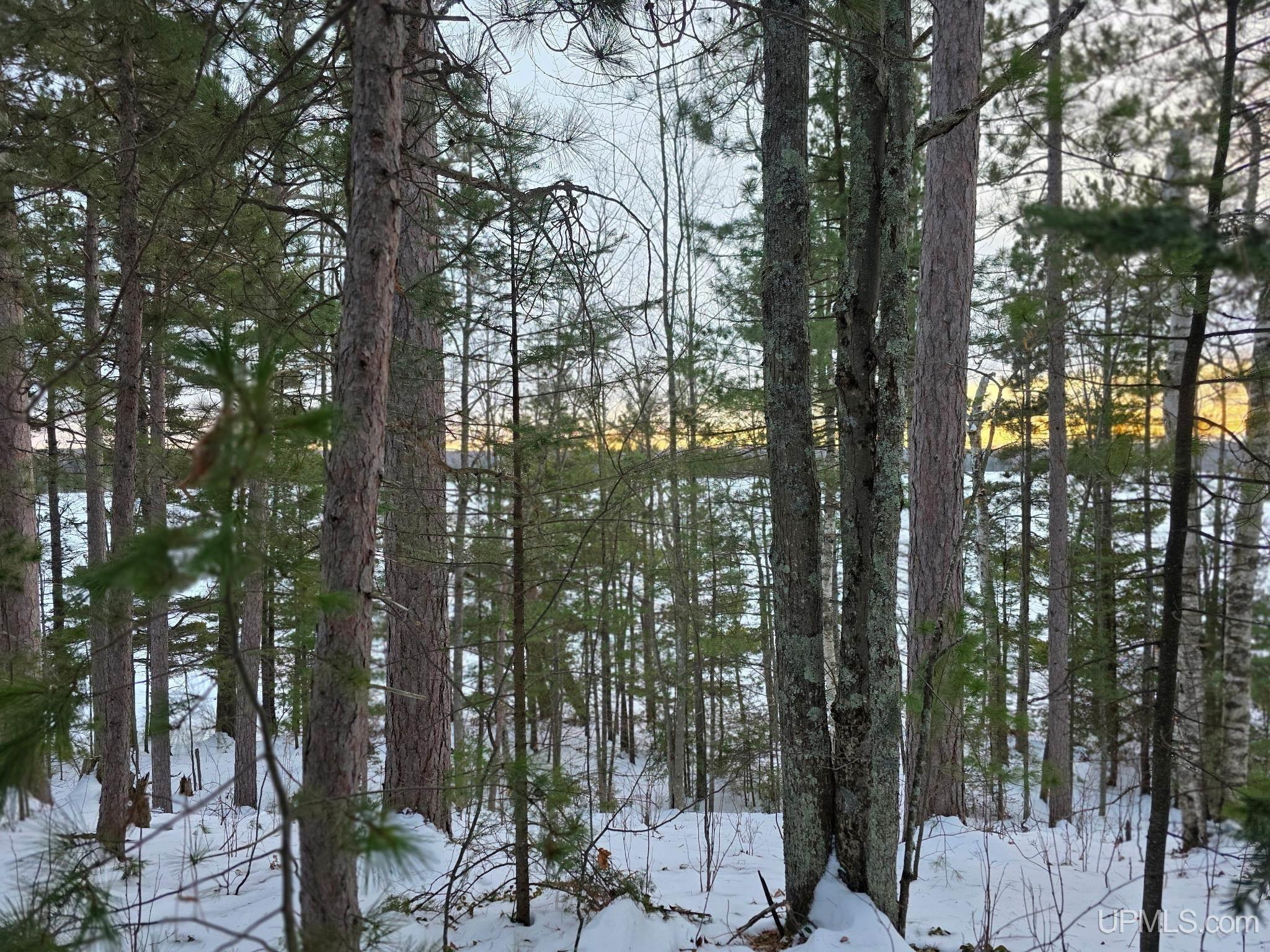 Tbd Sand Lake Road Marquette, MI 49855 - Photo 4 of 13