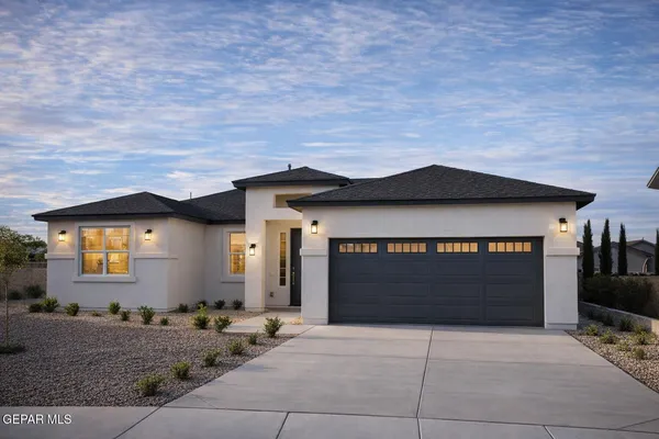 a front view of a house with yard