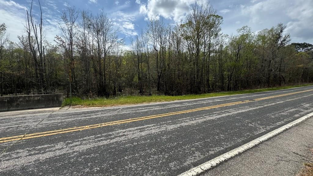 Tbd Brewer Road Manning, SC 29102 - Photo 1 of 5