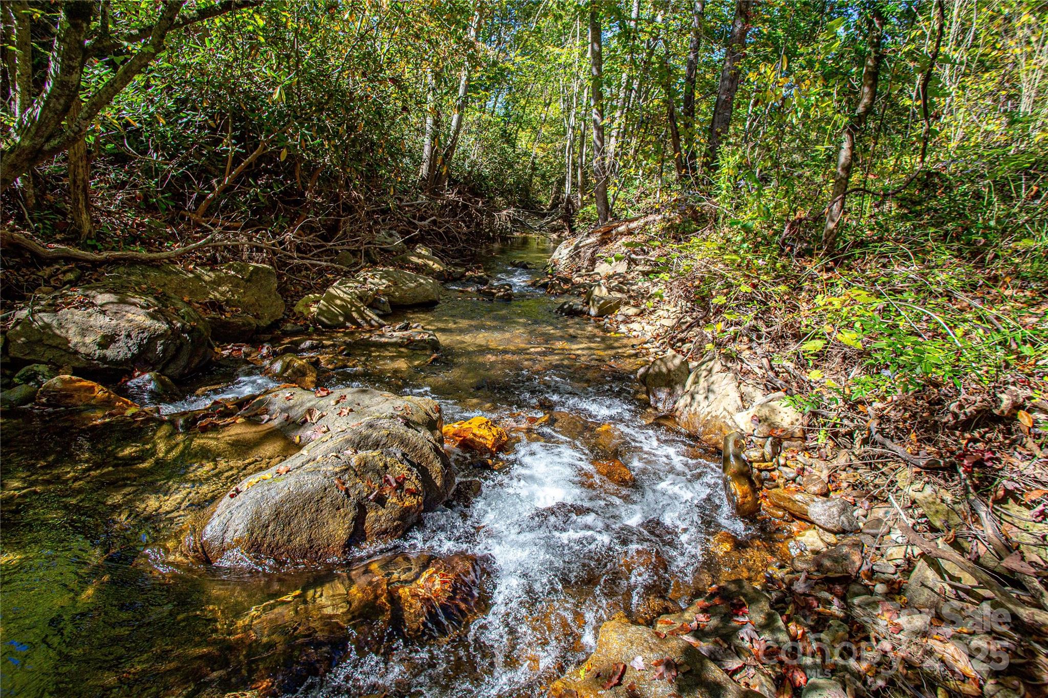10 Dodd Road Barnardsville, NC 28709 - Photo 11 of 25