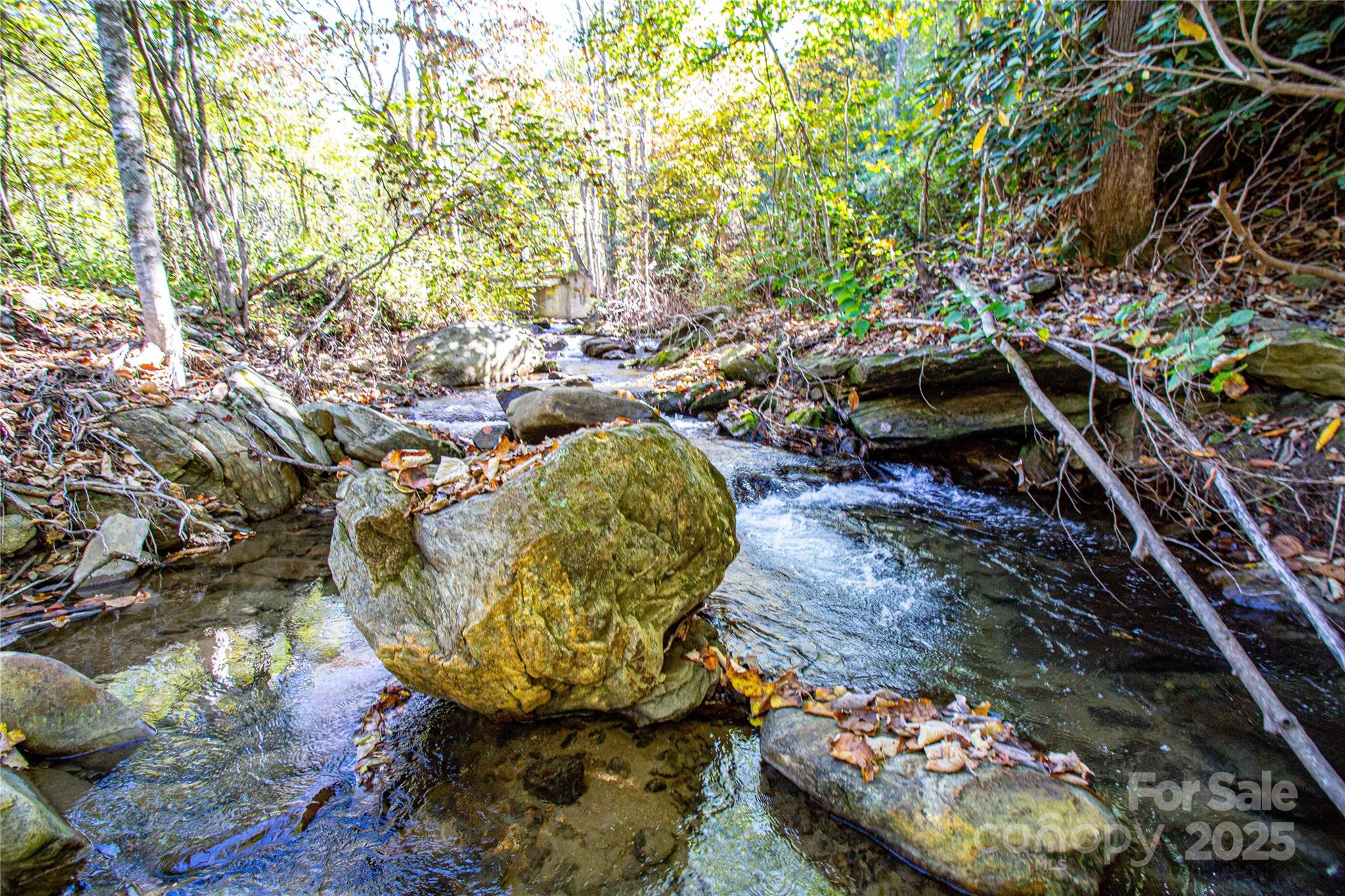 10 Dodd Road Barnardsville, NC 28709 - Photo 14 of 25