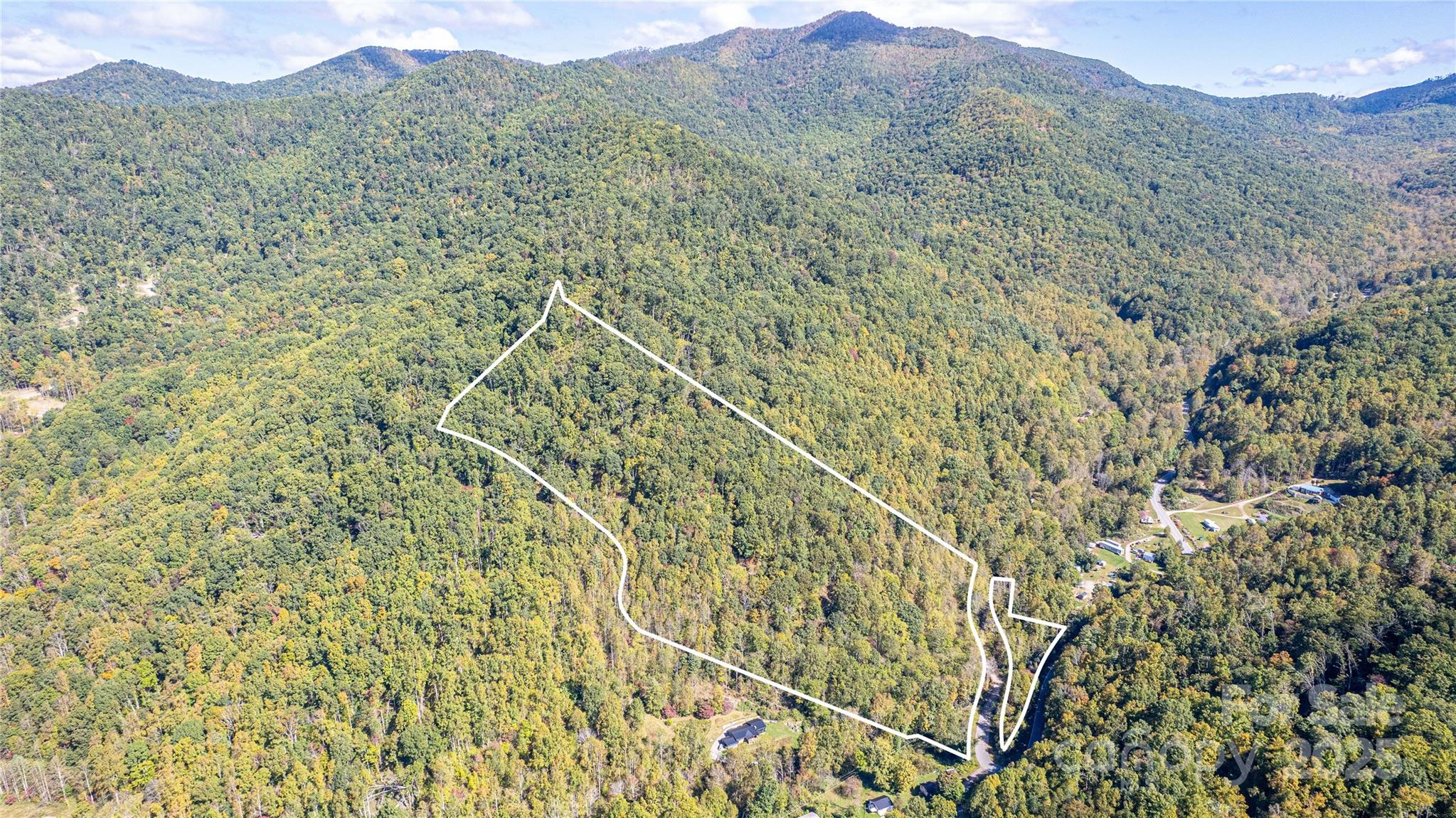 10 Dodd Road Barnardsville, NC 28709 - Photo 17 of 25