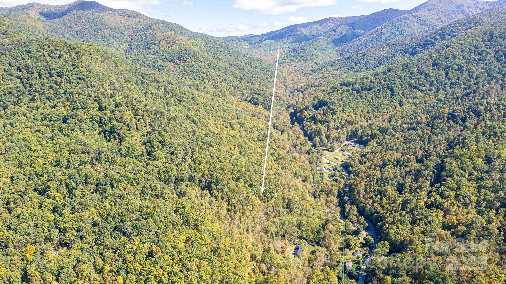 10 Dodd Road Barnardsville, NC 28709 - Photo 18 of 25