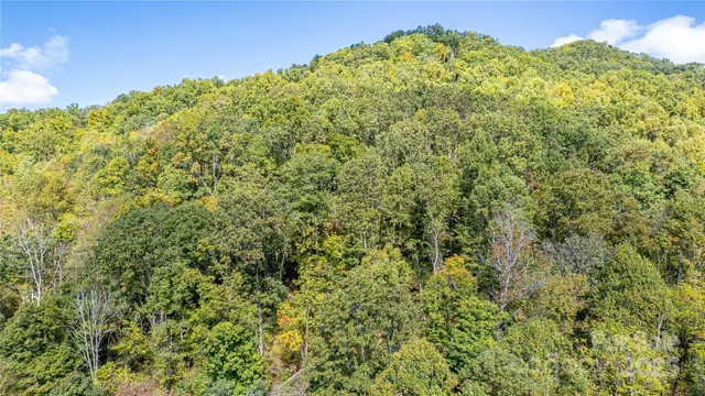 $300,000 | 10 Dodd Road, Barnardsville, NC 28709