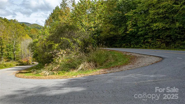$300,000 | 10 Dodd Road, Barnardsville, NC 28709