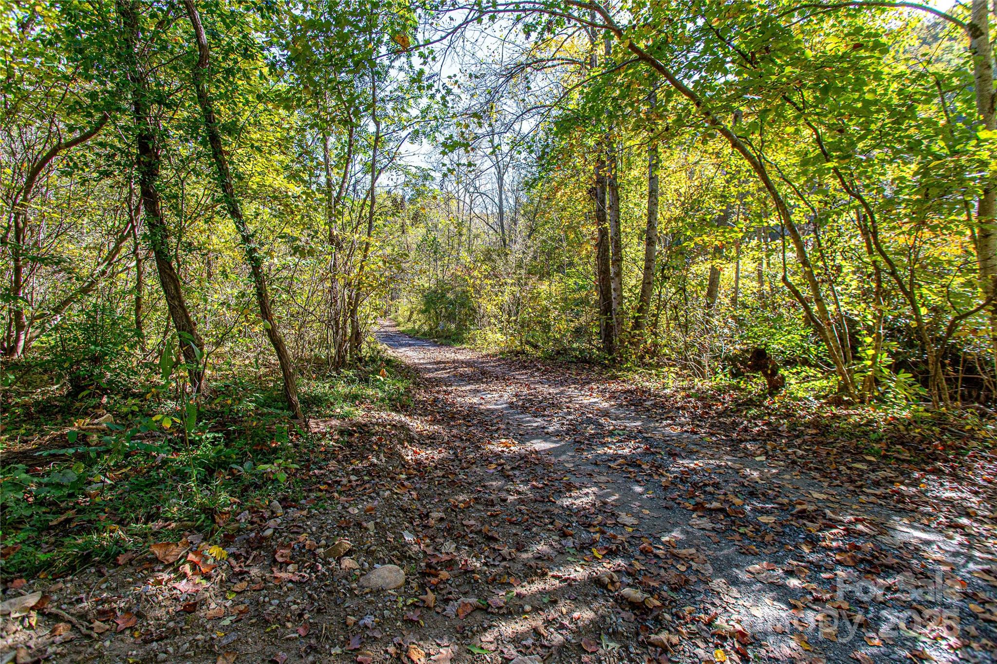 10 Dodd Road Barnardsville, NC 28709 - Photo 3 of 25