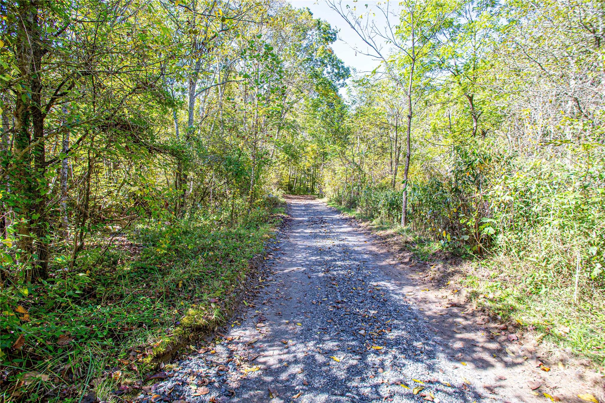 10 Dodd Road Barnardsville, NC 28709 - Photo 4 of 25