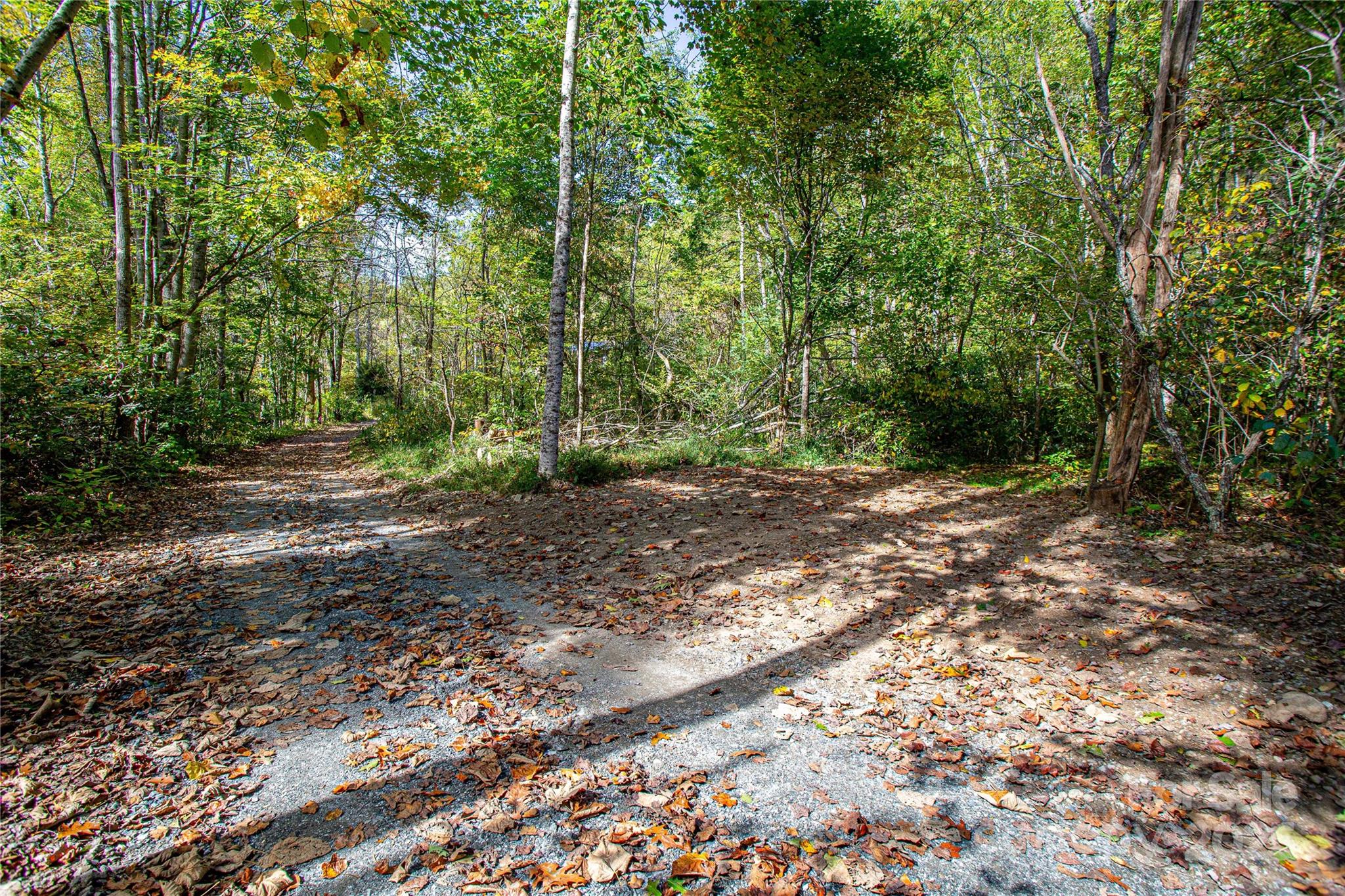 10 Dodd Road Barnardsville, NC 28709 - Photo 5 of 25