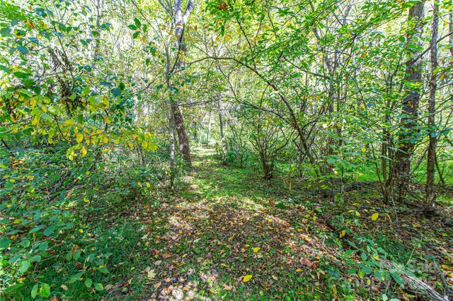 $300,000 | 10 Dodd Road, Barnardsville, NC 28709