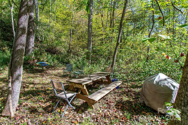 $300,000 | 10 Dodd Road, Barnardsville, NC 28709