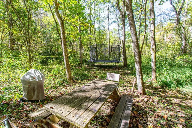 $300,000 | 10 Dodd Road, Barnardsville, NC 28709