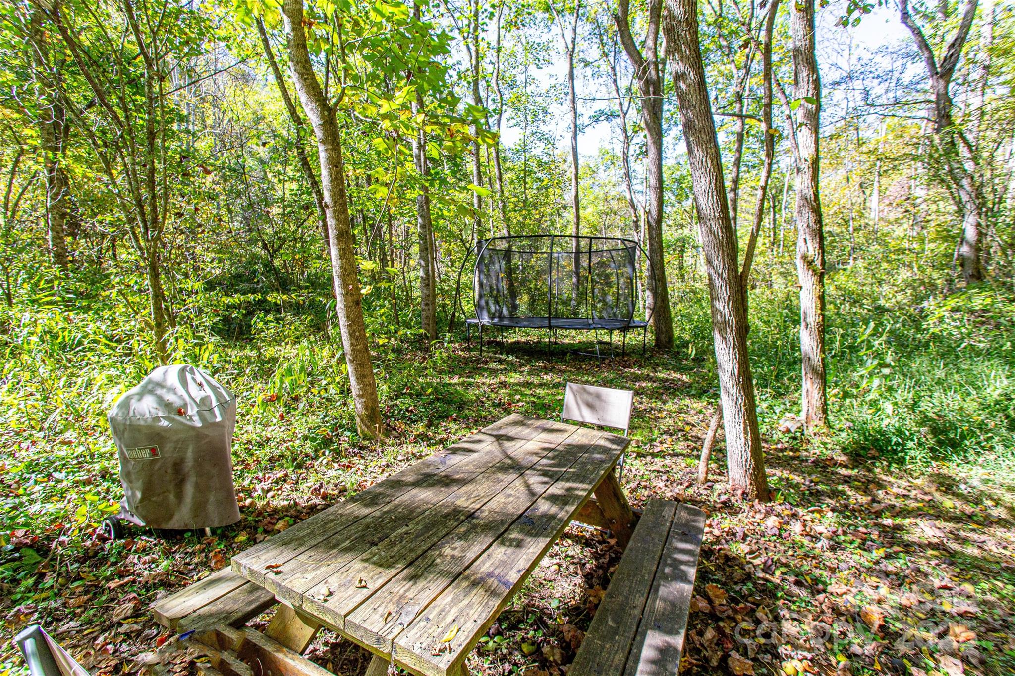 10 Dodd Road Barnardsville, NC 28709 - Photo 8 of 25