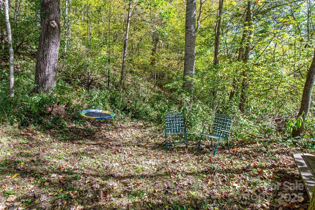 $300,000 | 10 Dodd Road, Barnardsville, NC 28709