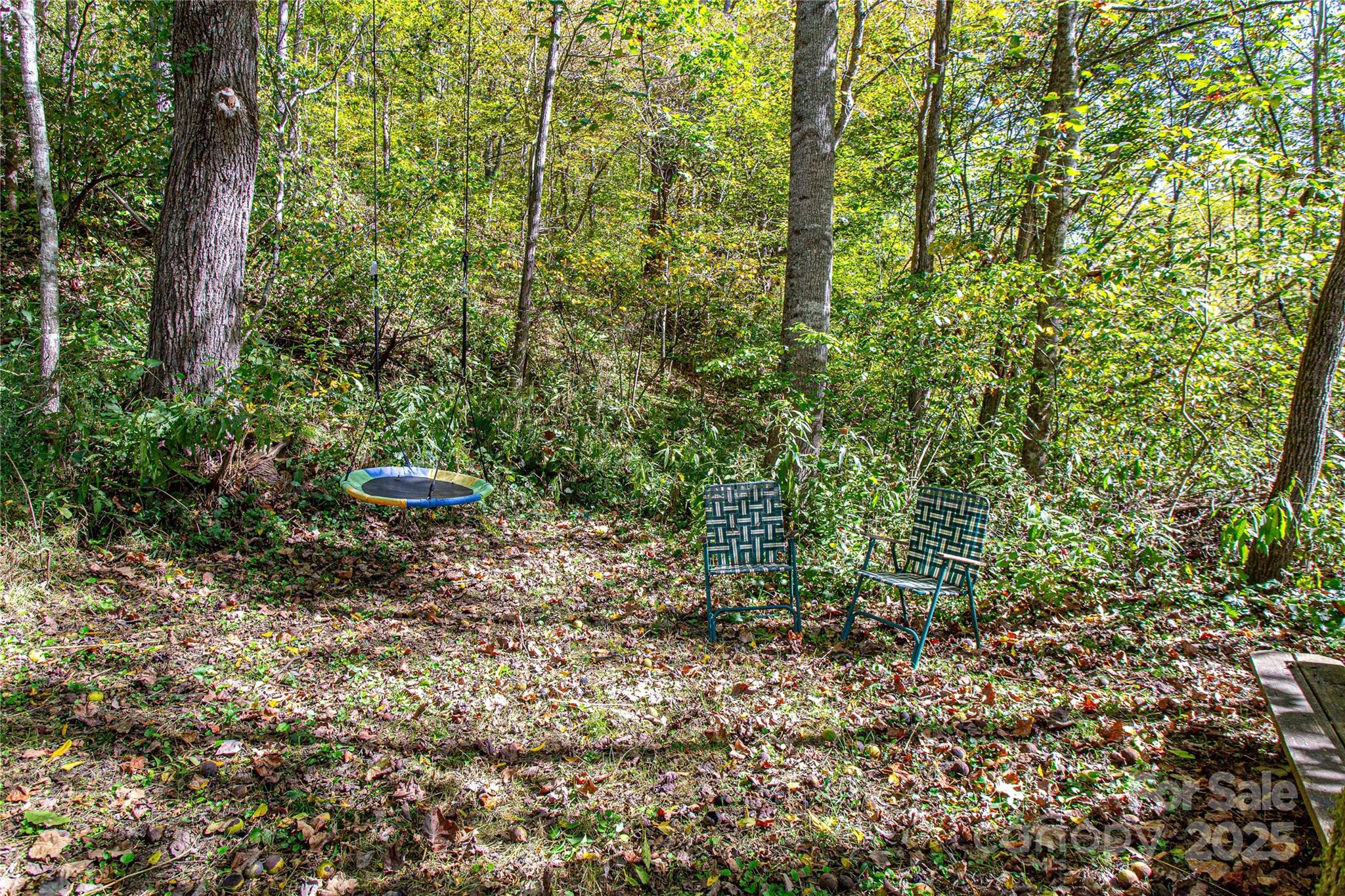 10 Dodd Road Barnardsville, NC 28709 - Photo 9 of 25