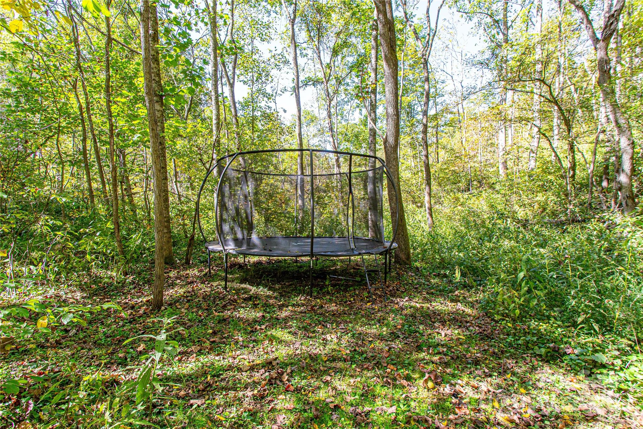 10 Dodd Road Barnardsville, NC 28709 - Photo 10 of 25