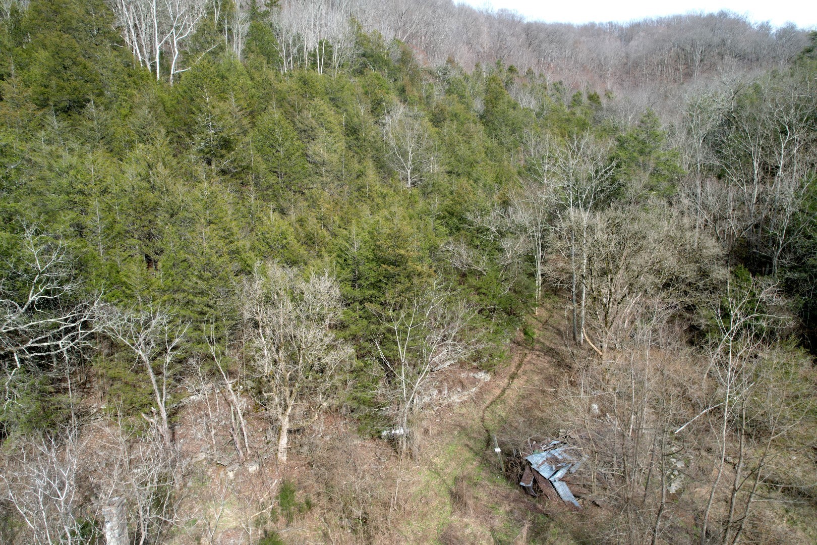 6496 Gassaway Road Woodbury, TN 37190 - Photo 3 of 6 Gallery Image 3