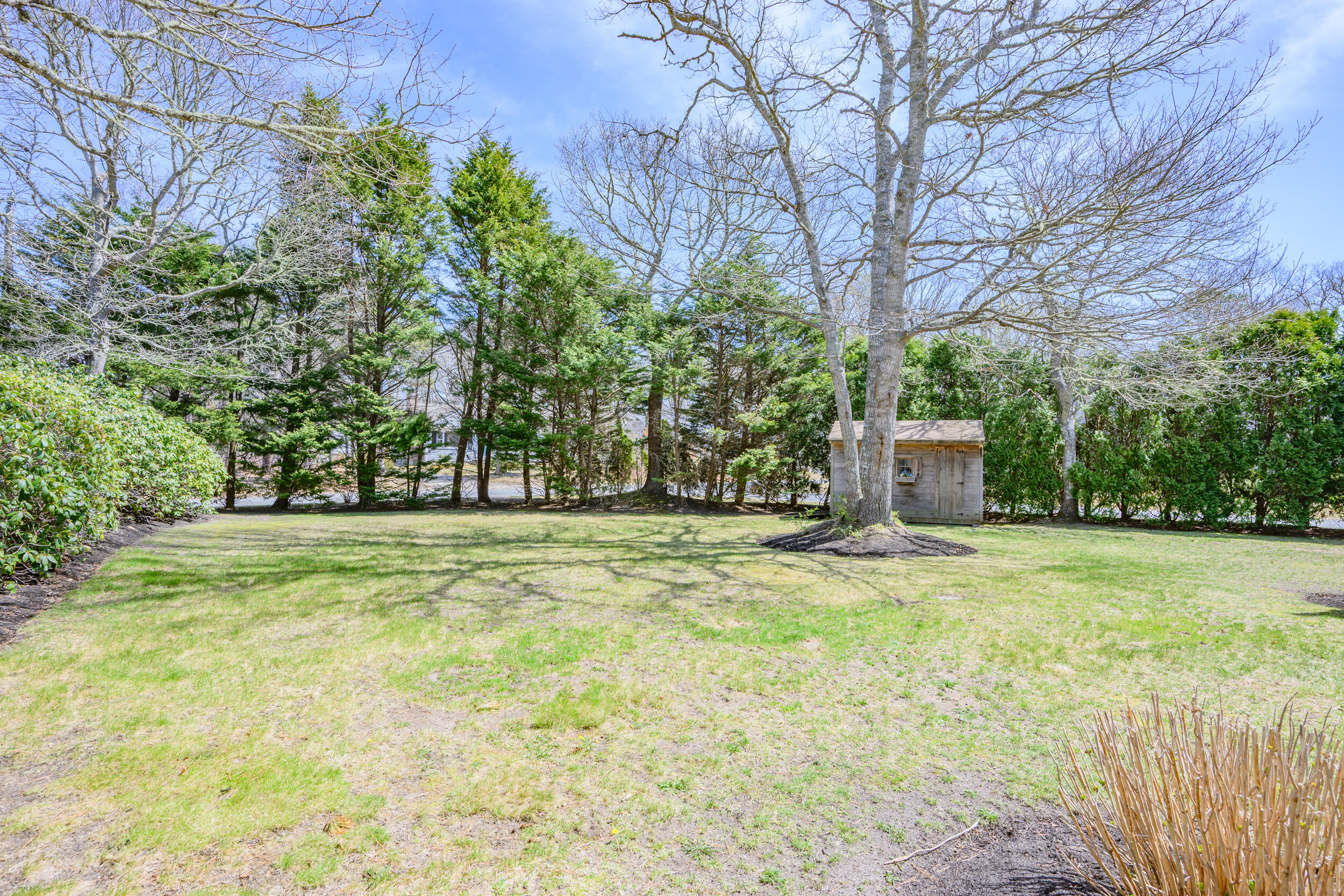 8 Marlboro Road Brewster, MA 02631 - Photo 33 of 36 Yard view