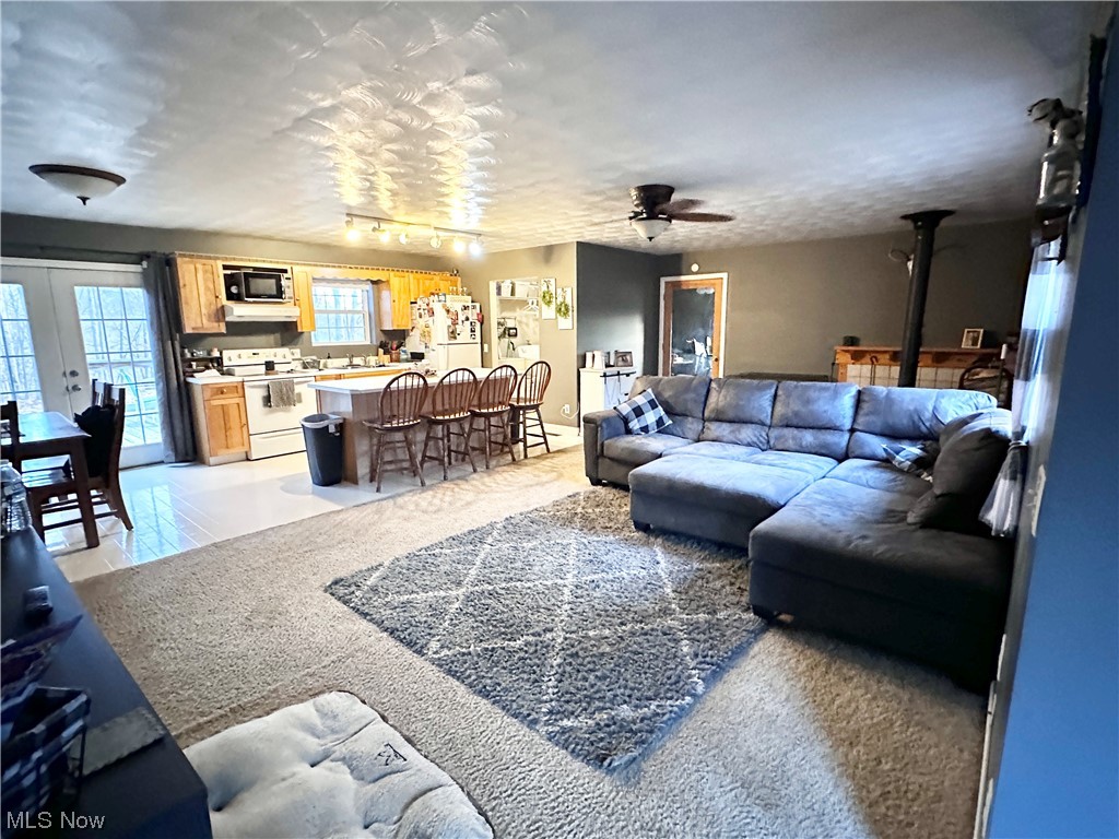 50748 Shenandoah Road Caldwell, OH 43724 - Photo 6 of 43 Living room with light tile floors, track lighting, ceiling fan, and french doors