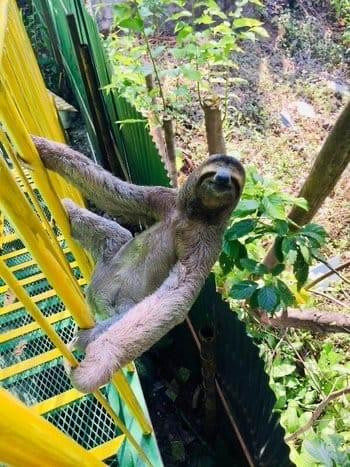 Undisclosed Address undefined, undefined 00000 - Photo 16 of 35 a view of outdoor space and yard