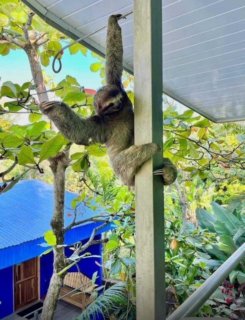 Undisclosed Address undefined, undefined 00000 - Photo 3 of 35 a balcony view with an outdoor space