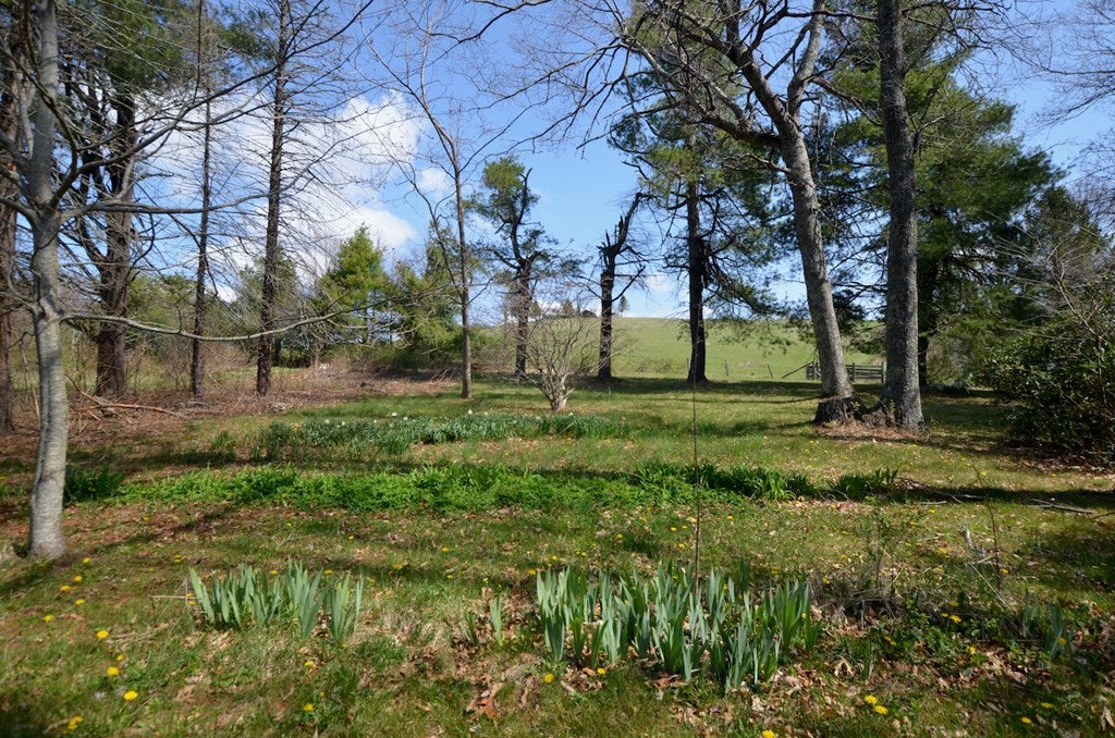 796 Luke Helms Road Meadows Of Dan, VA 24120 - Photo 11 of 24 Gallery Image 11