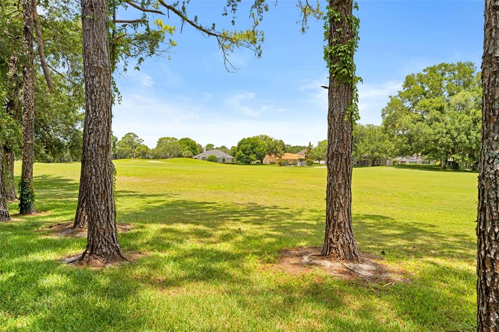 14425 Sterling Run Spring Hill, FL 34609 - Photo 62 of 66