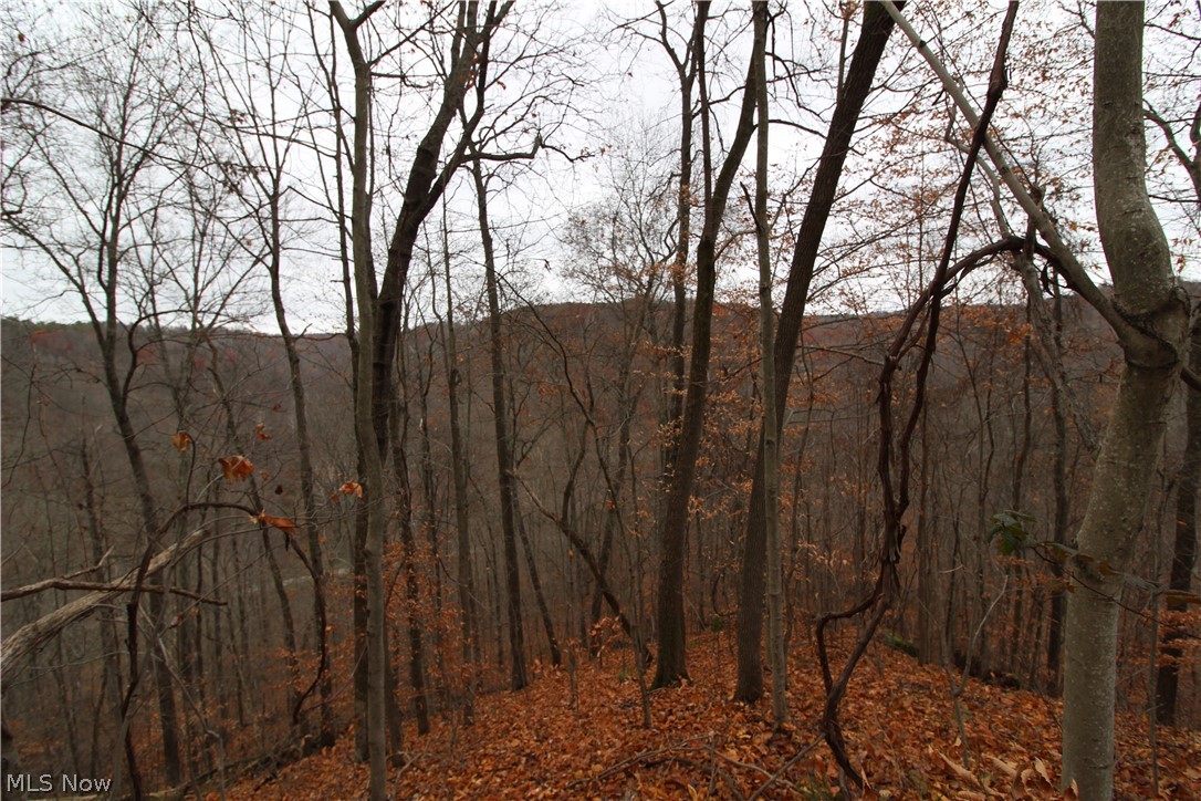 Wilson Run Road New Matamoras, OH 45767 - Photo 25 of 34 Gallery Image 25