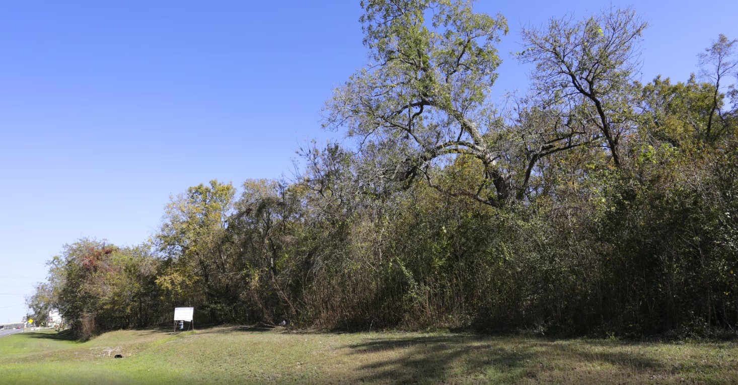 245 Crabb River Road Richmond, TX 77469 - Photo 1 of 6 Gallery Image 1
