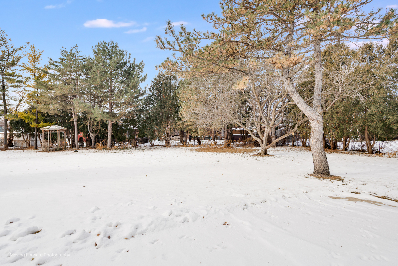 539 West Eggerding Drive Addison, IL 60101 - Photo 25 of 29 a view of road and trees