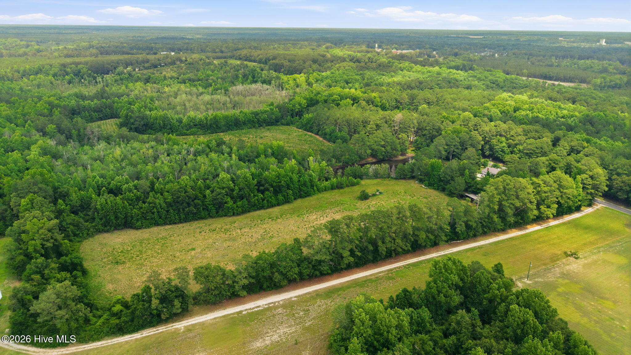 17060 St Johns Church Road Laurel Hill, NC 28351 - Photo 50 of 62