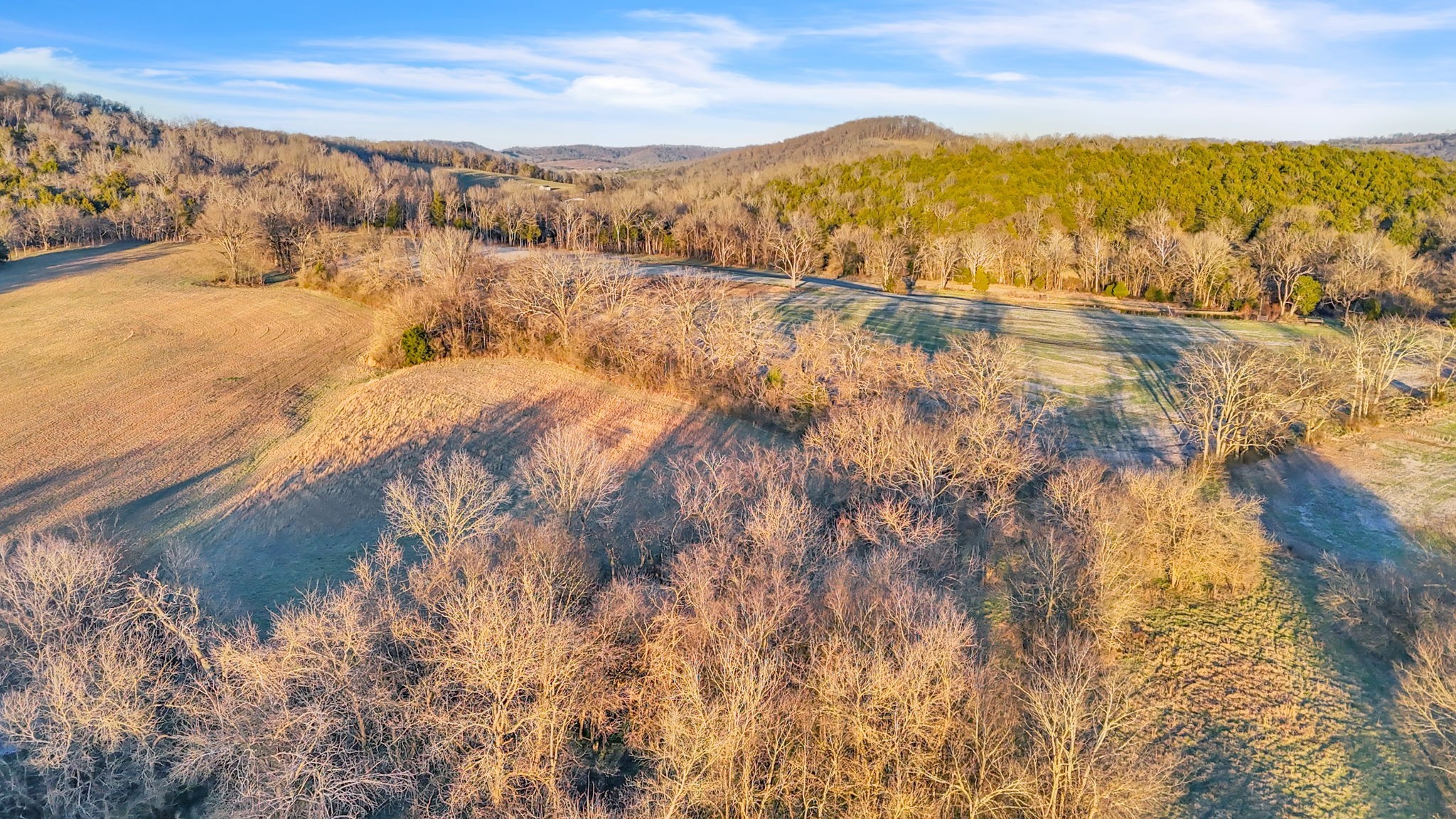 3138 Richmond Road Petersburg, TN 37144 - Photo 40 of 54
