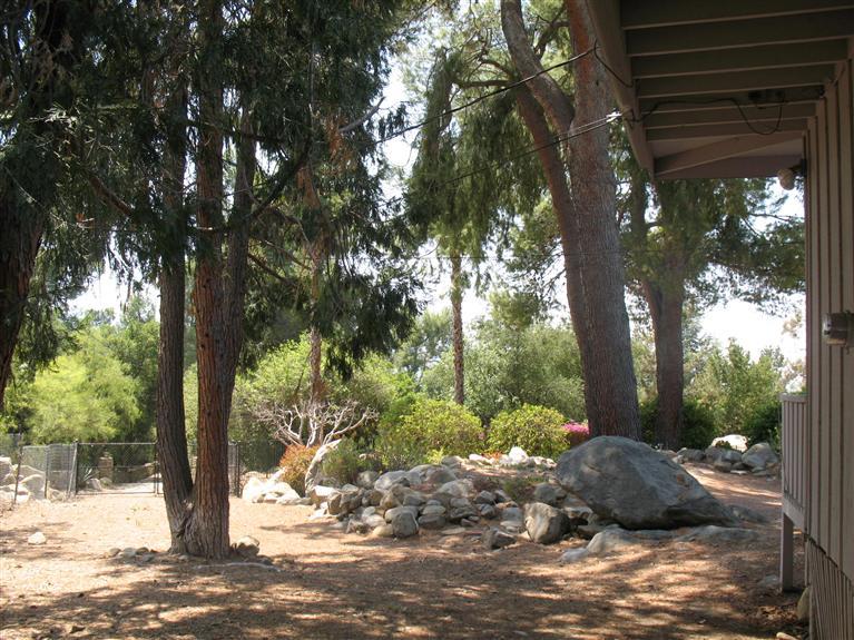 2510 Ladera Road Ojai, CA 93023 - Photo 8 of 15 a view of a tree in the middle of a yard