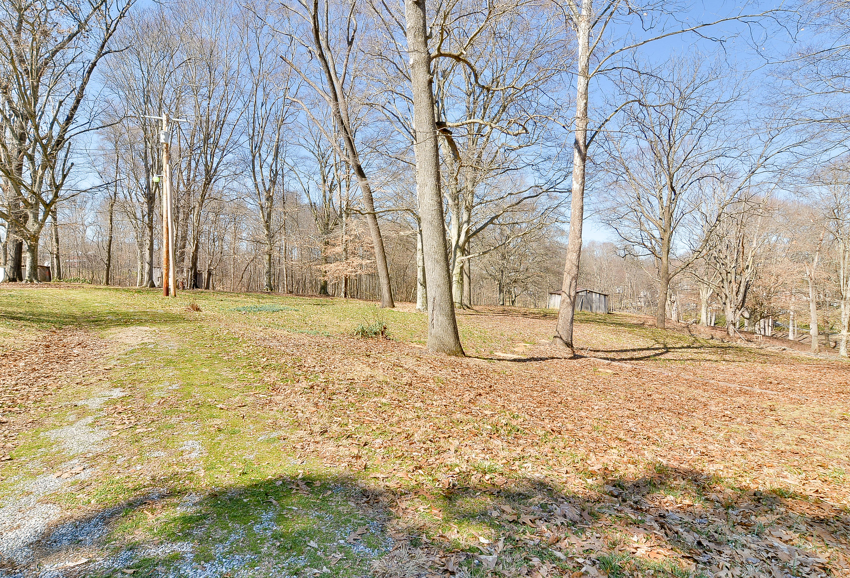 526 Ridgecrest Road Jonesborough, TN 37659 - Photo 49 of 49 TRB_8697