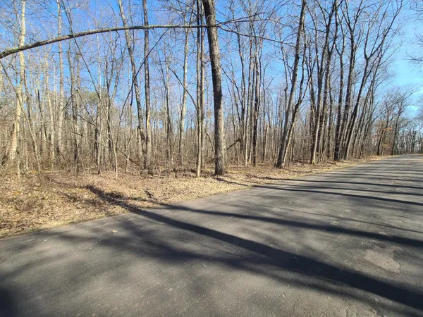 $25,000 | Tbd Henrich Avenue, Hayward, WI 54843