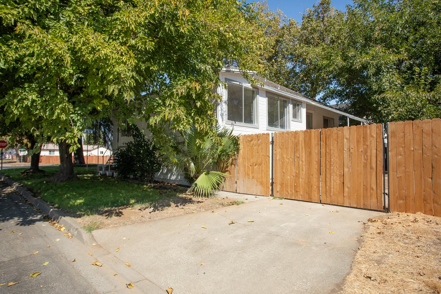 1585 Sycamore Street Gridley, CA 95948 - Photo 48 of 69 a backyard of a house with large trees and wooden fence