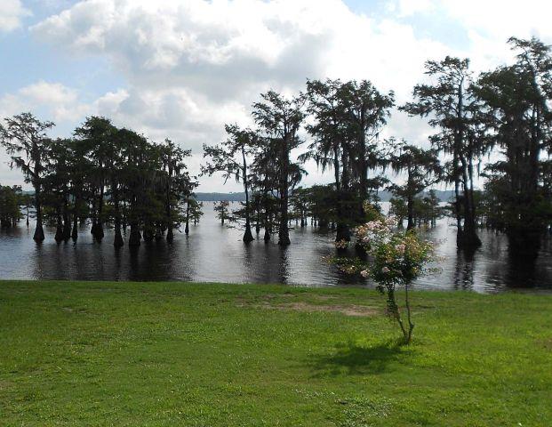 145 Grady Dowden Road Campti, LA 71411 - Photo 1 of 1 Gallery Image 1