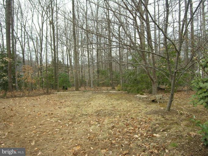 9028 Scott Street Springfield, VA 22153 - Photo 19 of 19 Wooded View / Acreage