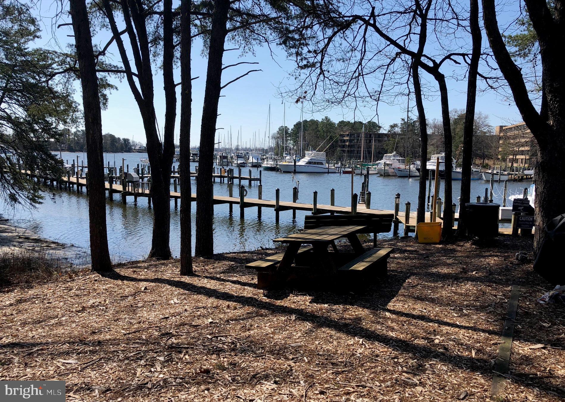 136 Square Rigger Way Solomons, MD 20688 - Photo 33 of 36 Picnic area and marina