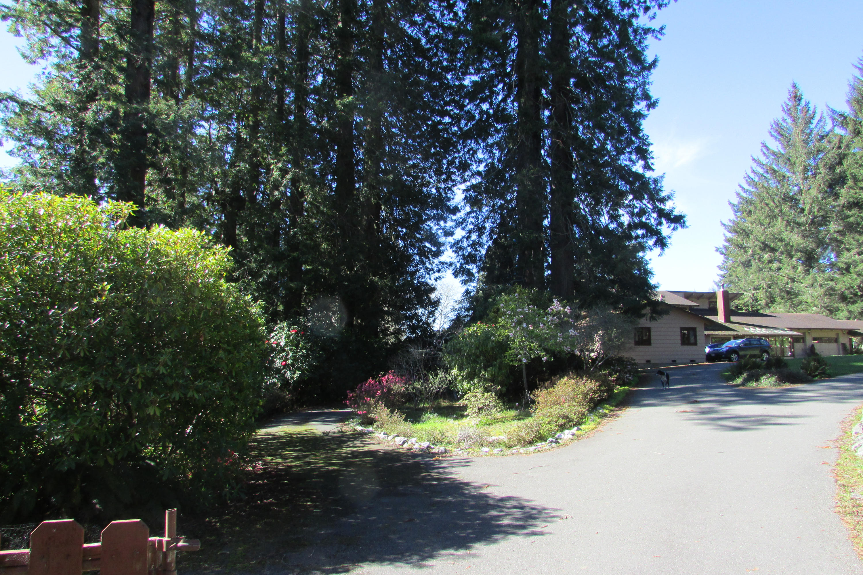 1736 Fickle Hill Road Arcata, CA 95521 - Photo 39 of 40 Gallery Image 39