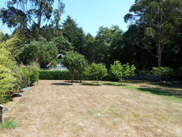 253 Stagecoach Road Trinidad, CA 95570 - Photo 4 of 69