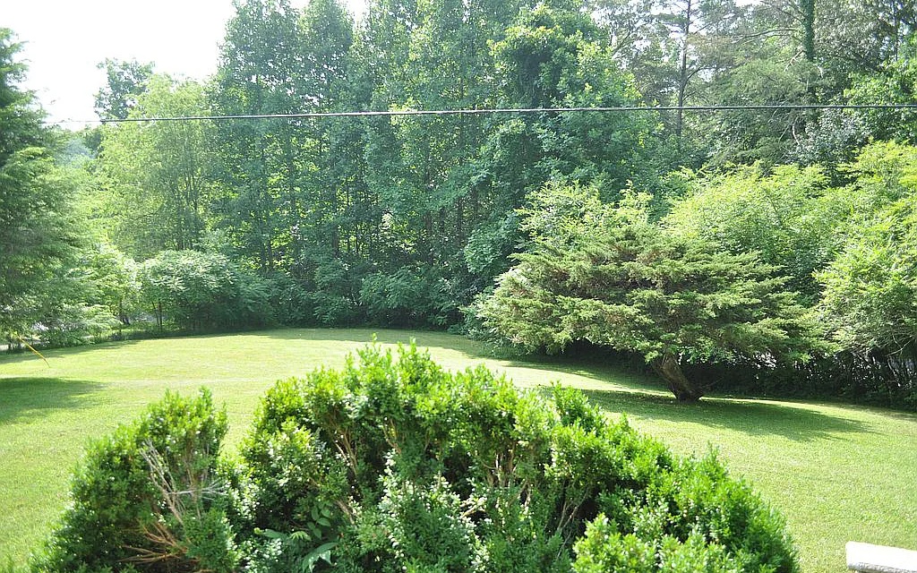Additional View