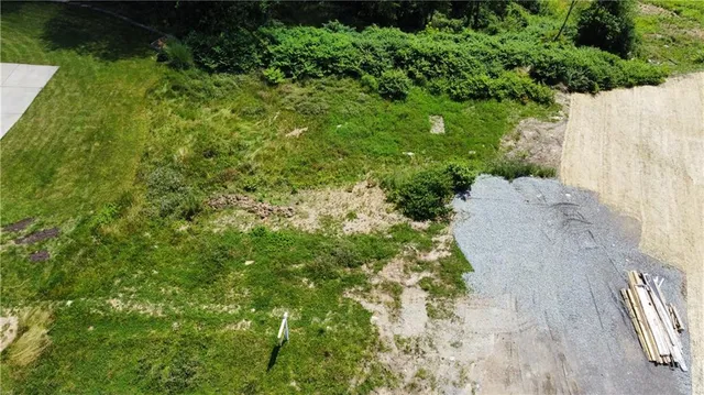 a view of a yard with plants and large trees