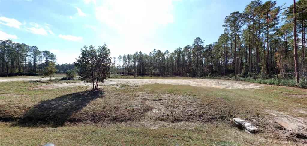 a view of a yard with trees