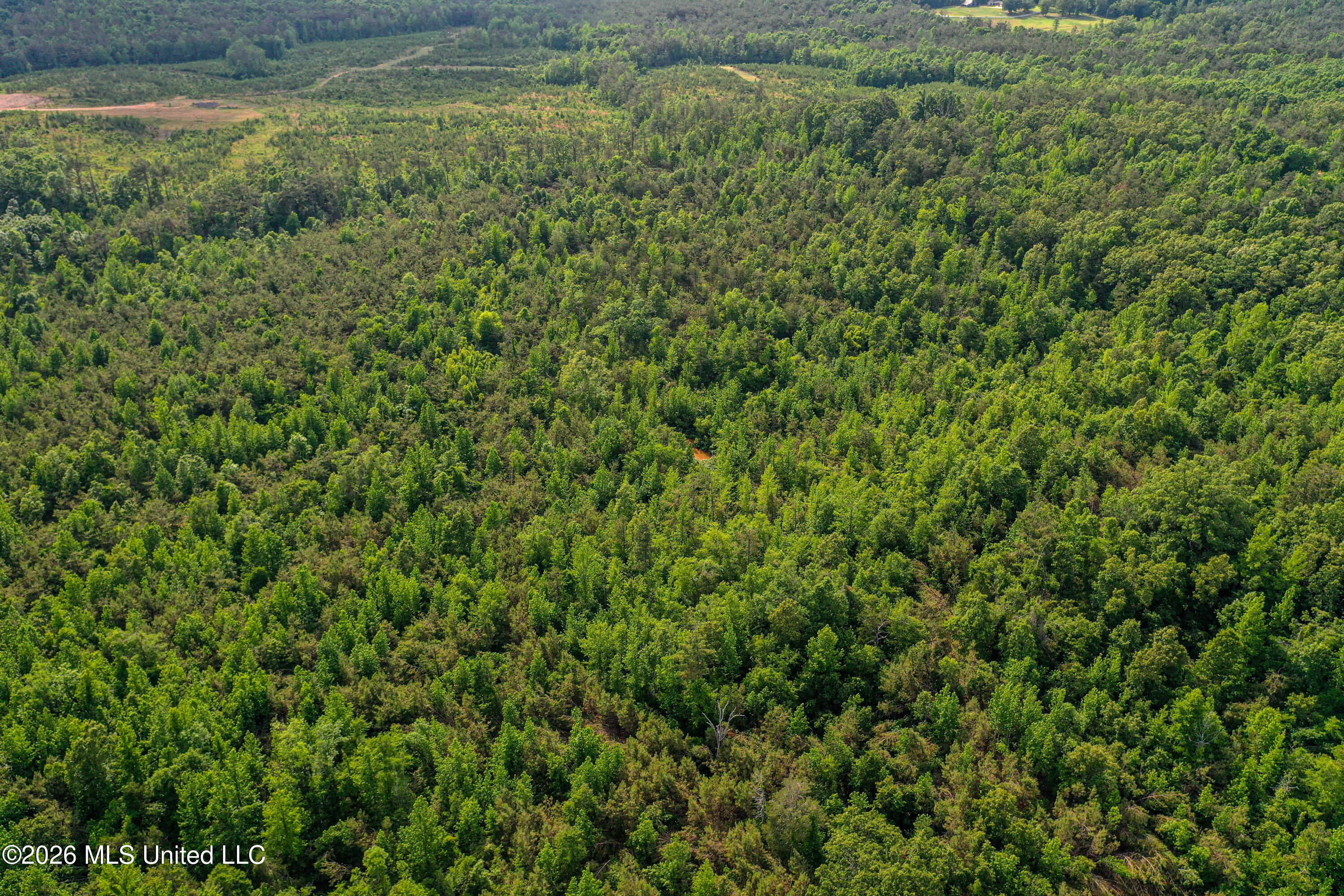 816 County Road Blue Mountain, MS 38610 - Photo 12 of 21 DJI_0747